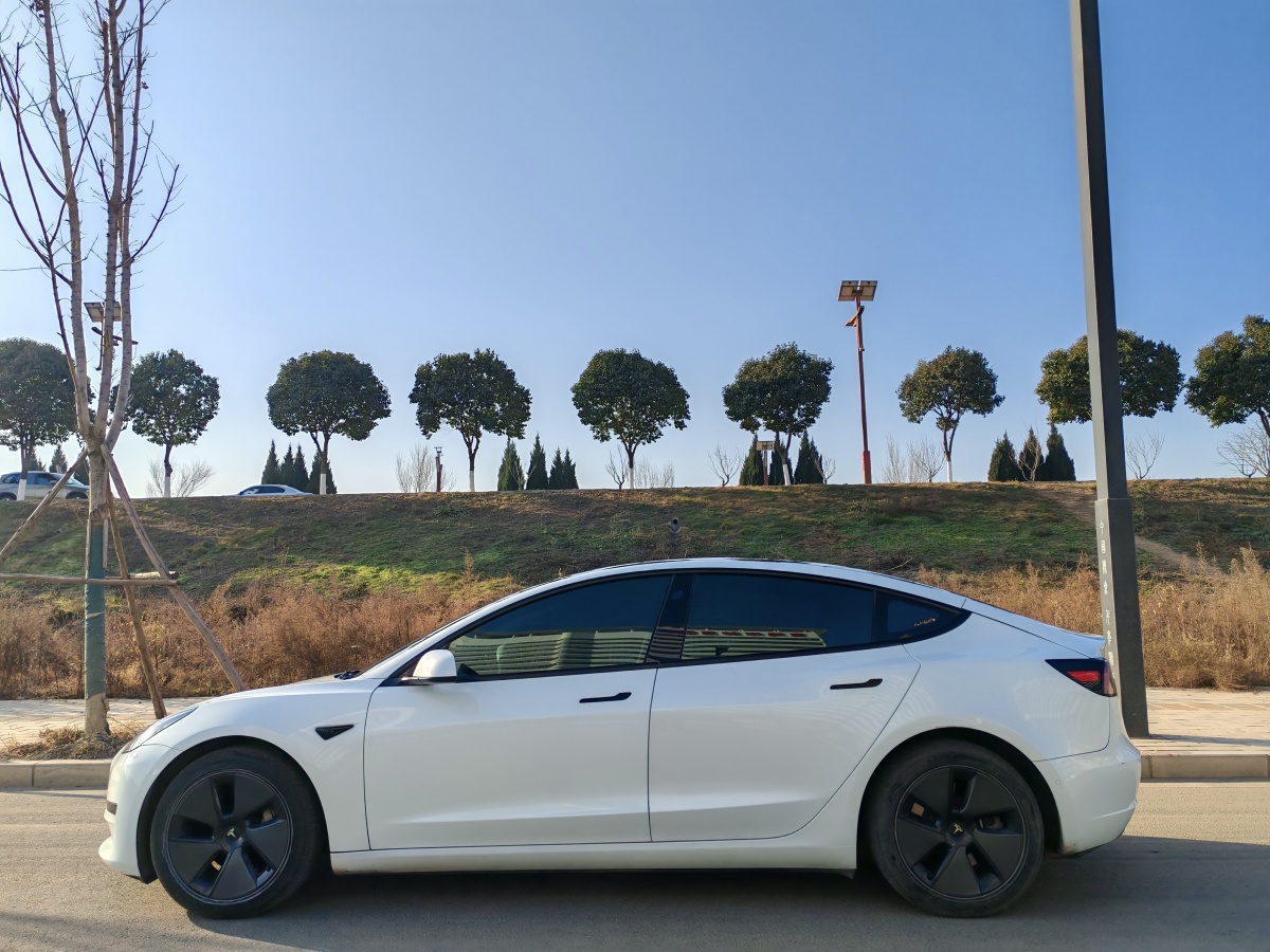 特斯拉 Model 3  2019款 標(biāo)準(zhǔn)續(xù)航后驅(qū)升級版圖片