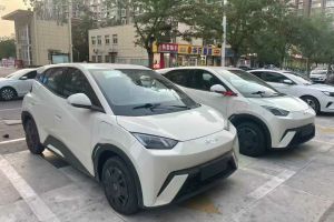 海鷗 比亞迪 305km 活力版