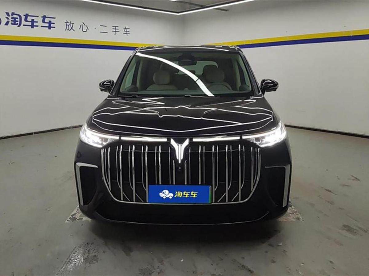 嵐圖 夢(mèng)想家  2024款 PHEV 超長(zhǎng)續(xù)航尊貴版圖片