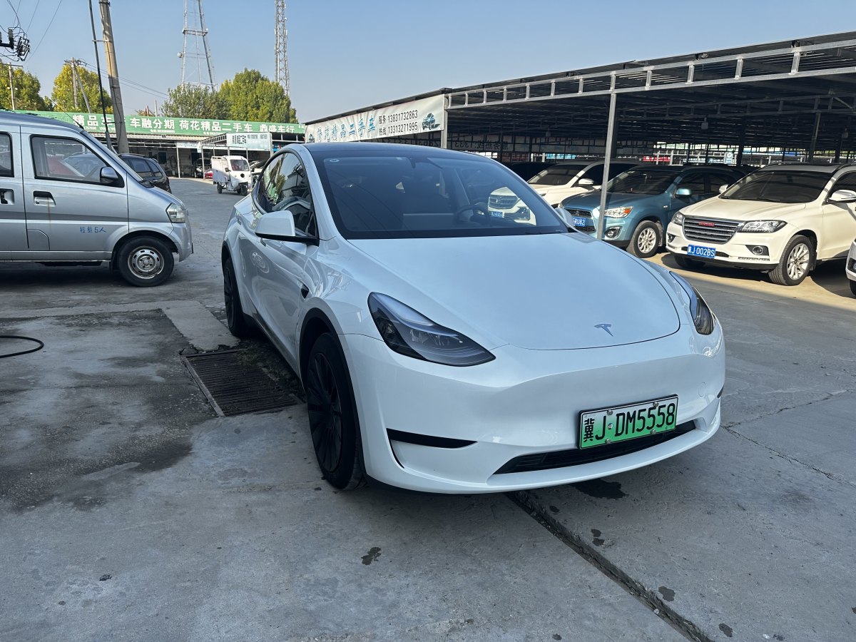 2024年6月特斯拉 Model Y  2020款 改款 長續(xù)航后輪驅動版