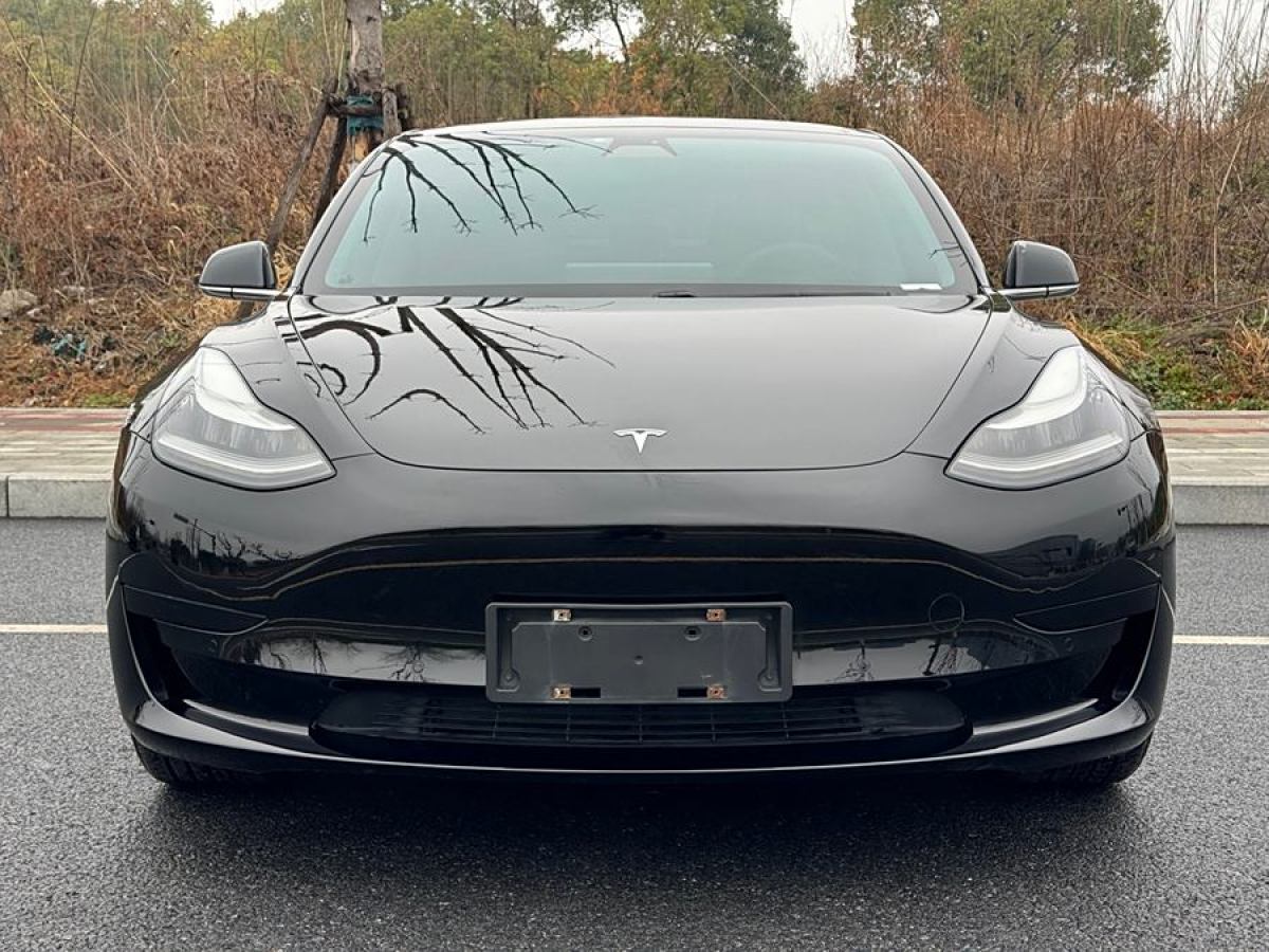 特斯拉 Model 3  2020款 改款 標準續(xù)航后驅(qū)升級版圖片