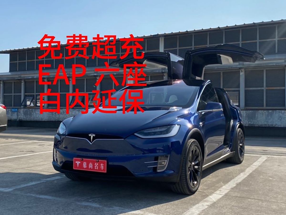 特斯拉 Model X  2016款 Model X 75D圖片