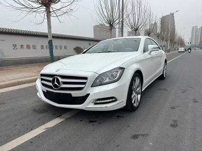 2014年2月 奔馳 奔馳CLS級(進(jìn)口) CLS 300 CGI圖片