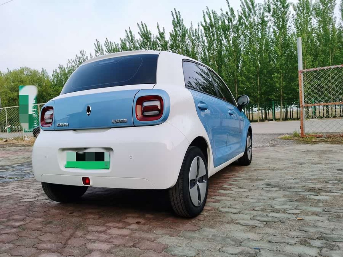 歐拉 歐拉黑貓  2019款 2019款 301km 標(biāo)準(zhǔn)版圖片