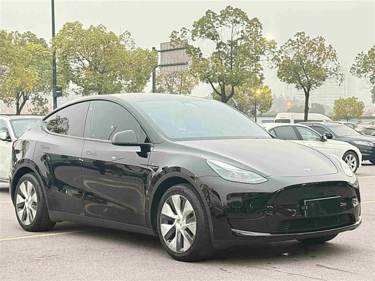 特斯拉 Model 3  2022款 后輪驅(qū)動(dòng)版圖片