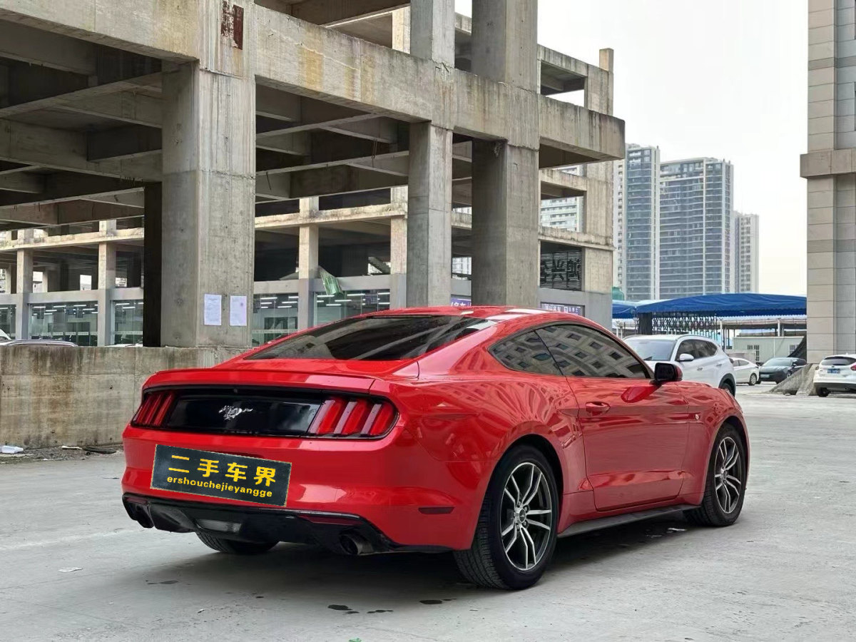 福特 Mustang  2016款 2.3T 性能版圖片