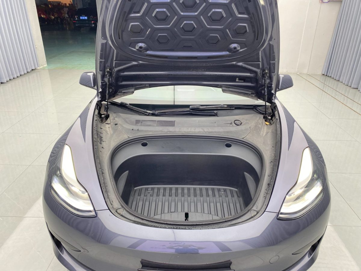 特斯拉 Model 3  2019款 標(biāo)準(zhǔn)續(xù)航后驅(qū)升級版圖片