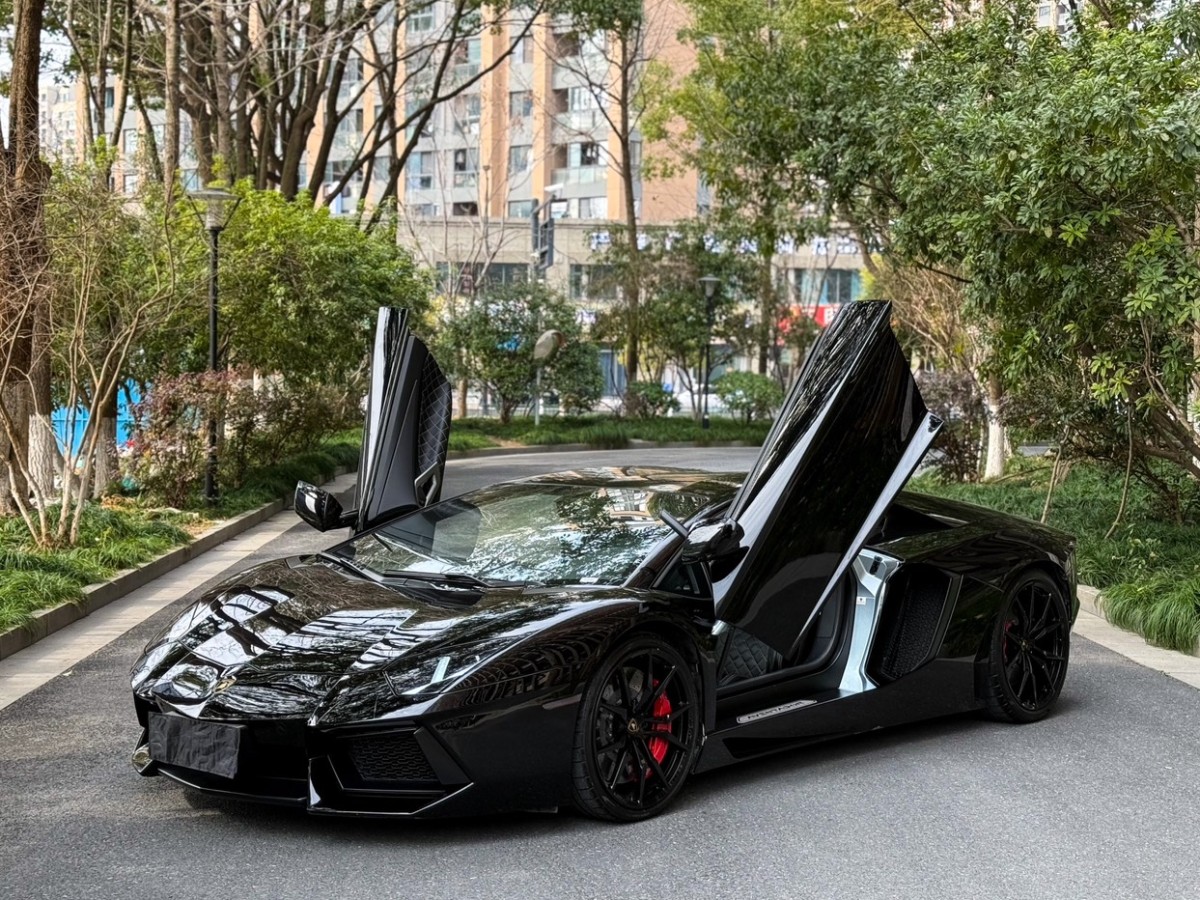 蘭博基尼 Aventador  2013款 LP 700-4 Roadster圖片