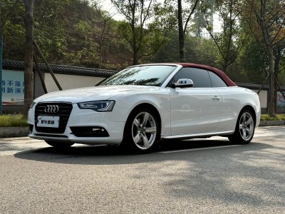 2016年5月 奧迪 奧迪A5(進(jìn)口) 改款 Cabriolet 45 TFSI 進(jìn)取型圖片