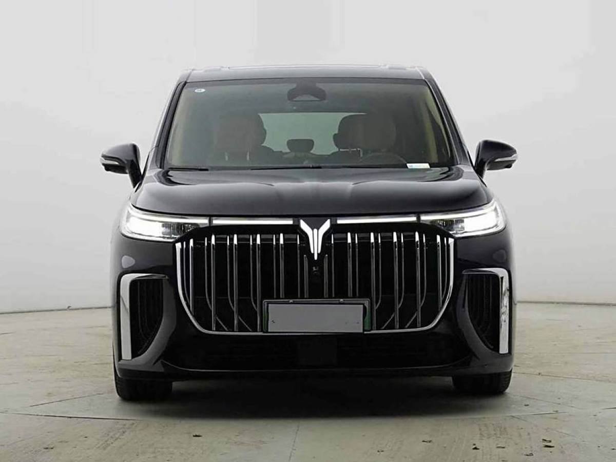 嵐圖 夢想家  2024款 PHEV 超長續(xù)航旗艦版圖片