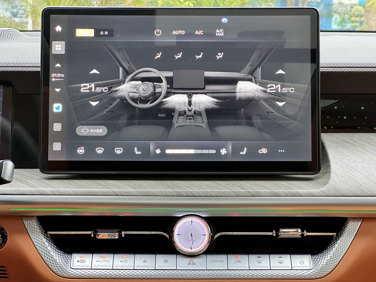 坦克 坦克500  2022款 3.0T 商務(wù)版 造境型 7座圖片
