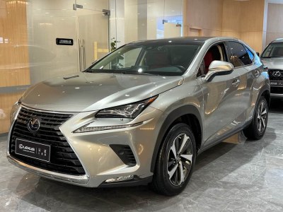 2019年5月 雷克薩斯 NX 300h 全驅(qū) 鋒致版圖片