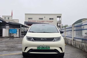 海豚 比亞迪 榮耀版 302km 活力版