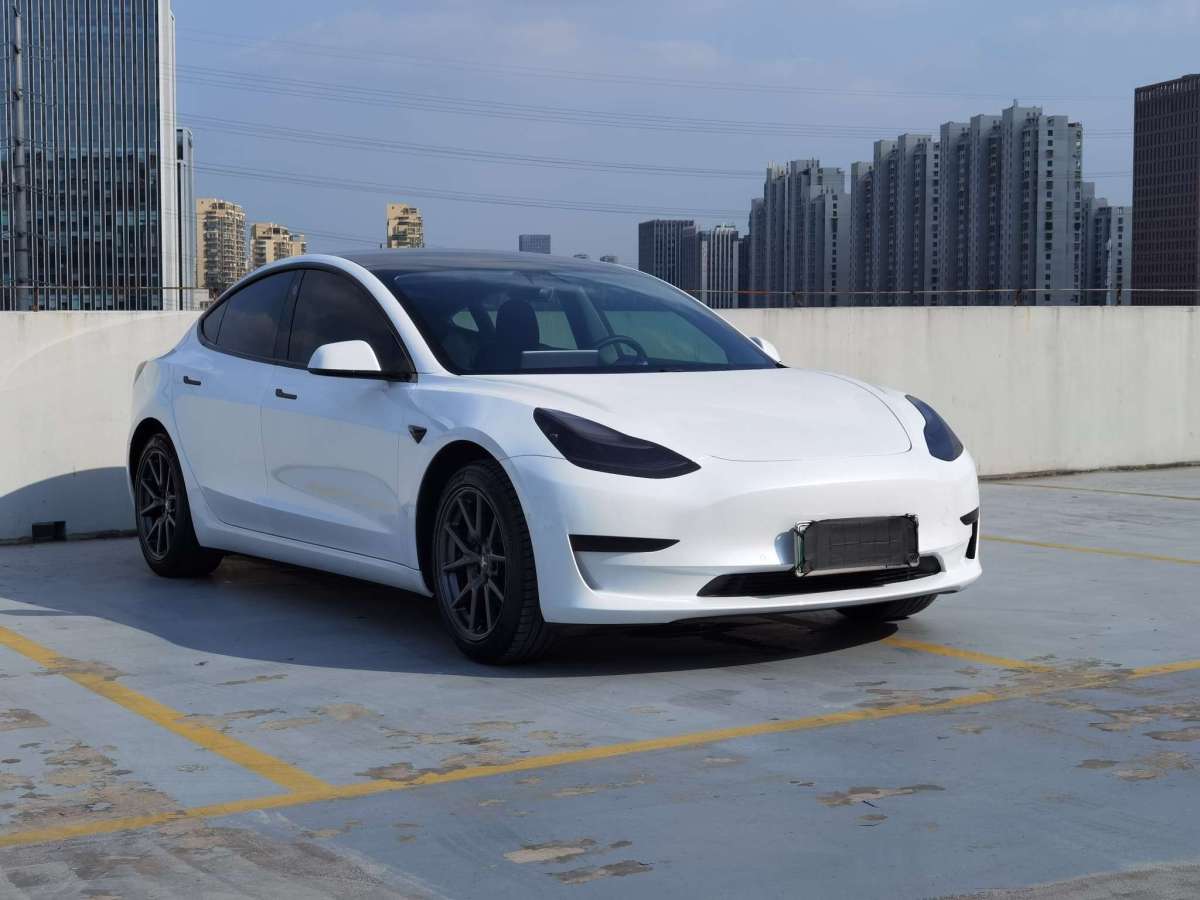 特斯拉 Model 3  2019款 標(biāo)準(zhǔn)續(xù)航后驅(qū)升級(jí)版圖片