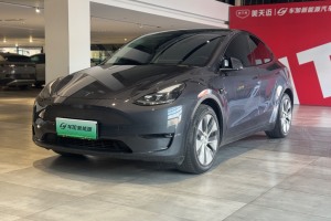 Model Y 特斯拉 改款 标准续航后驱升级版