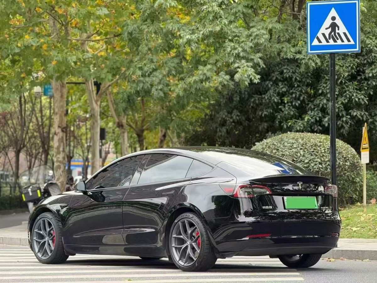 特斯拉 Model S  2023款 三電機(jī)全輪驅(qū)動(dòng) Plaid版圖片