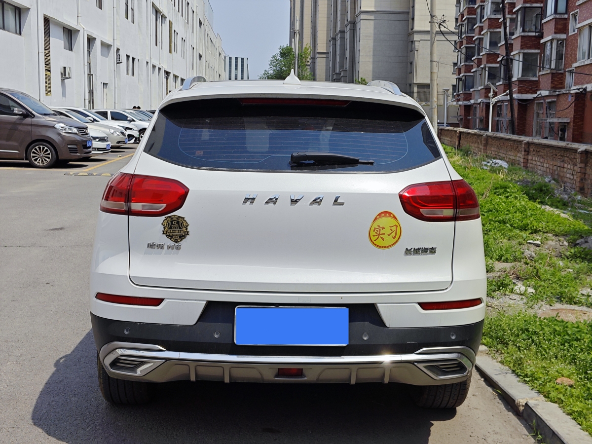 哈弗 H6  2021款 國潮版 1.5T 自動(dòng)冠軍版圖片