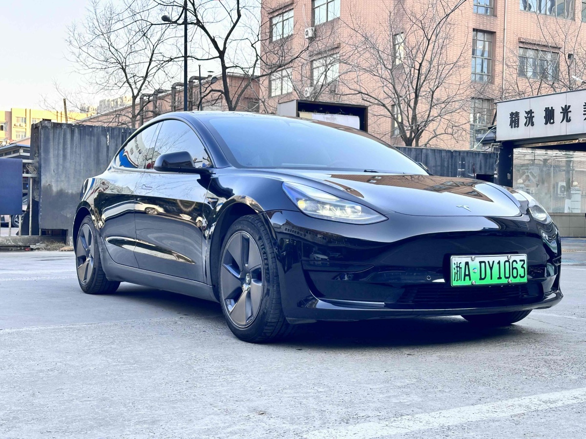 特斯拉 Model 3  2019款 標(biāo)準(zhǔn)續(xù)航后驅(qū)升級(jí)版圖片