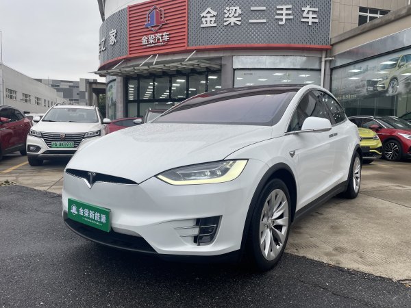 特斯拉 Model X  2017款 Model X 100D 长续航版