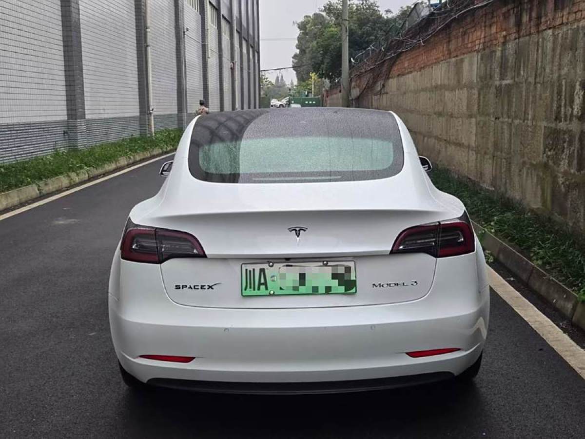 特斯拉 Model 3  2019款 標(biāo)準(zhǔn)續(xù)航后驅(qū)升級(jí)版圖片