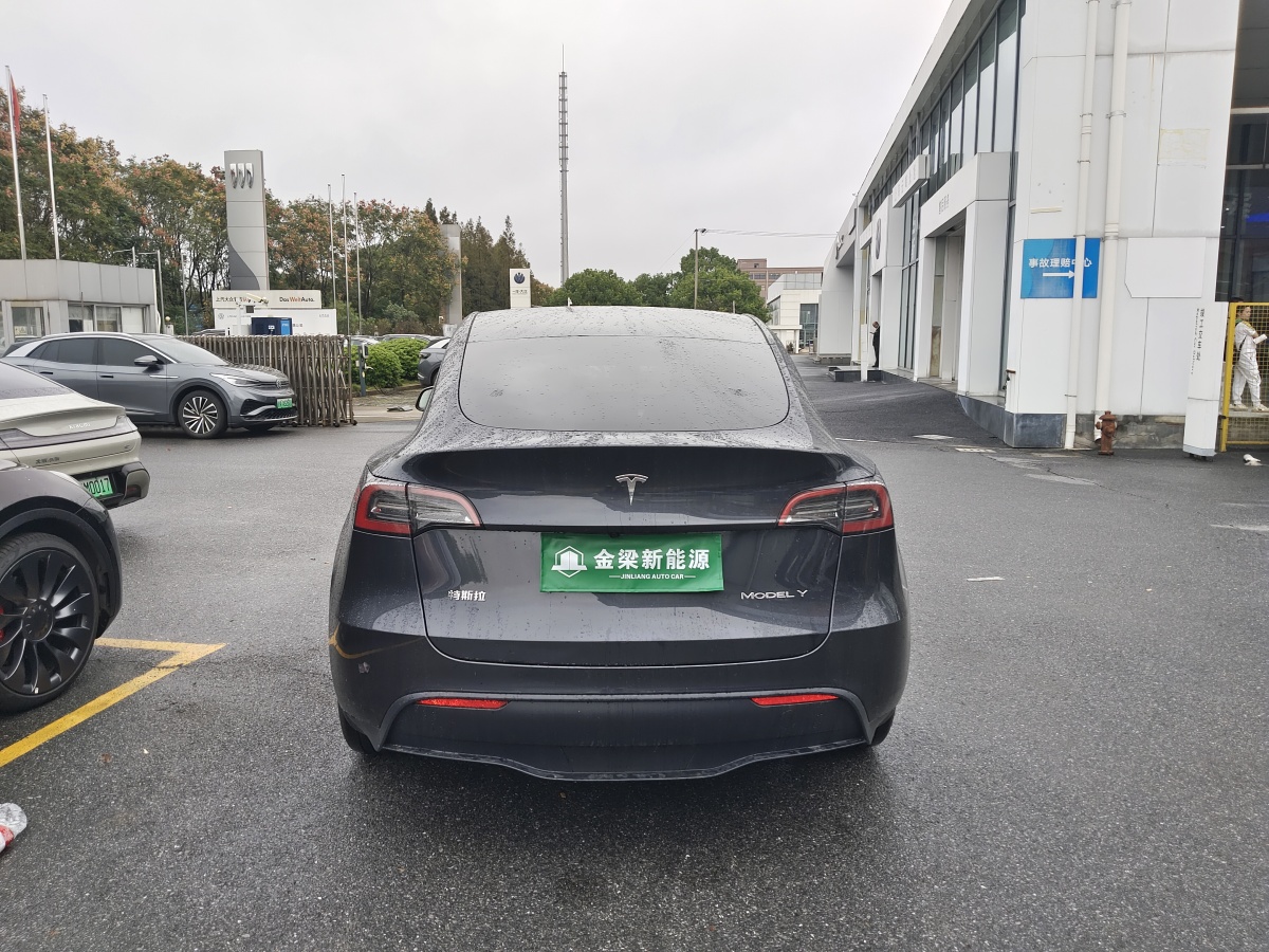 特斯拉 Model Y  2020款 改款 長(zhǎng)續(xù)航后輪驅(qū)動(dòng)版圖片