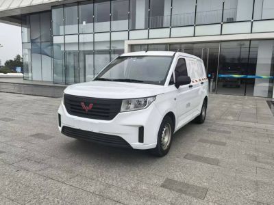 2020年1月 五菱 五菱EV50 純電動(dòng)廂式物流車圖片