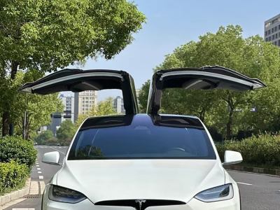 2019年12月 特斯拉 Model X Model X 100D 長續(xù)航版圖片