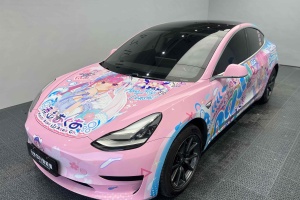 Model 3 特斯拉 標(biāo)準(zhǔn)續(xù)航后驅(qū)升級(jí)版