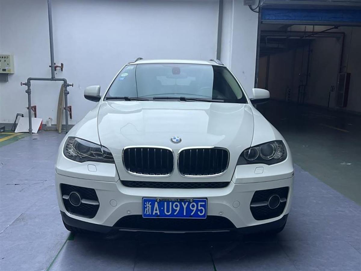 宝马 宝马X6  2011款 xDrive35i图片