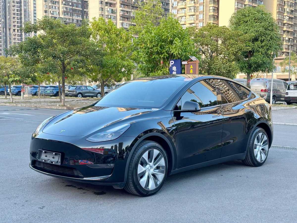 特斯拉 Model 3  2021款 改款 Performance高性能全輪驅(qū)動版圖片