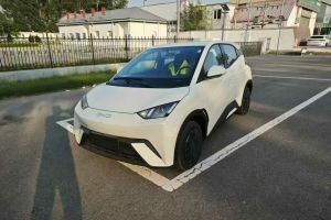 海鷗 比亞迪 305km 活力版