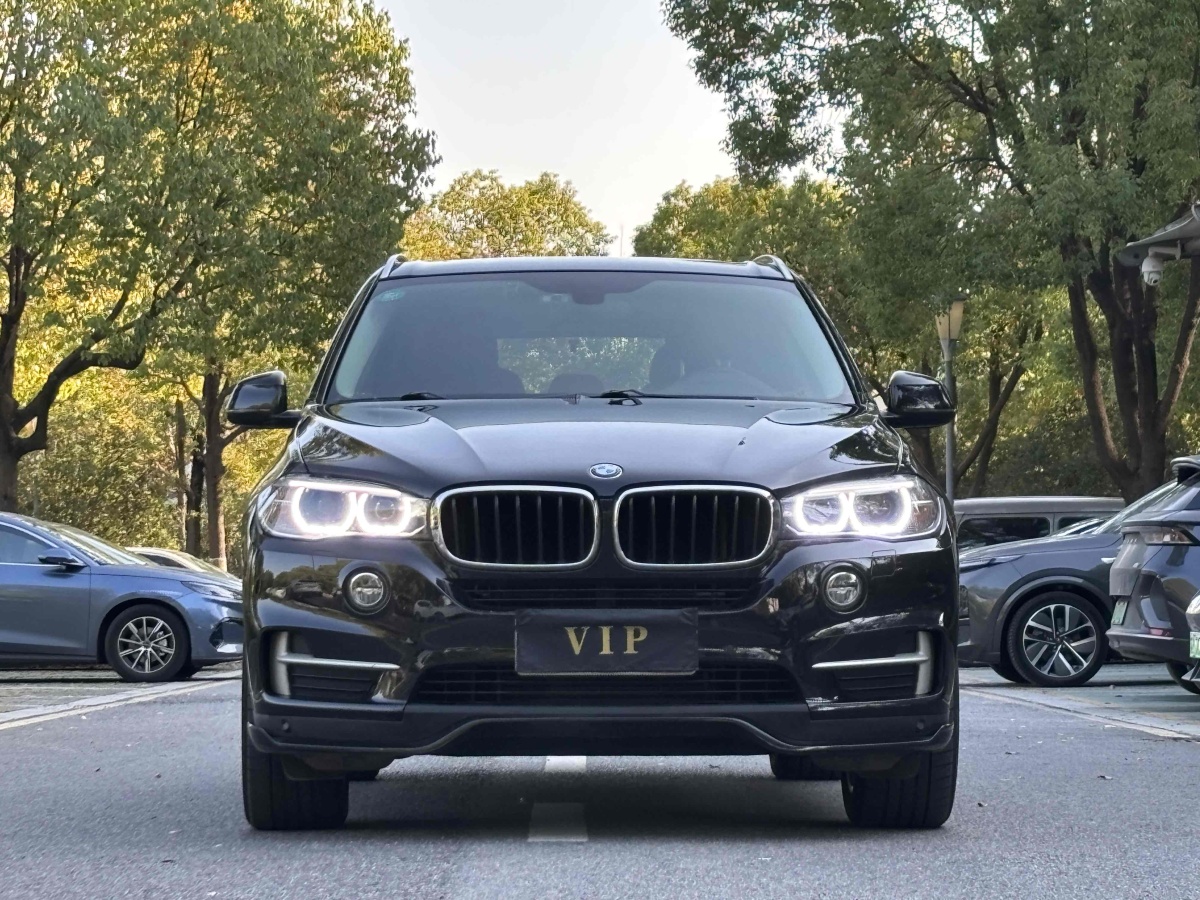 寶馬 寶馬X5  2014款 xDrive35i 領(lǐng)先型圖片