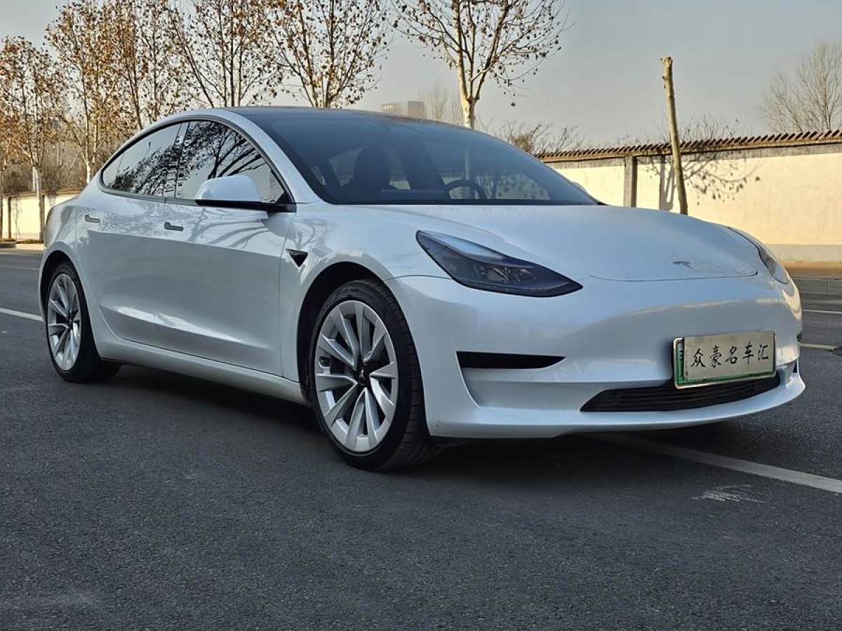 特斯拉 Model 3  2021款 改款 標(biāo)準(zhǔn)續(xù)航后驅(qū)升級(jí)版圖片