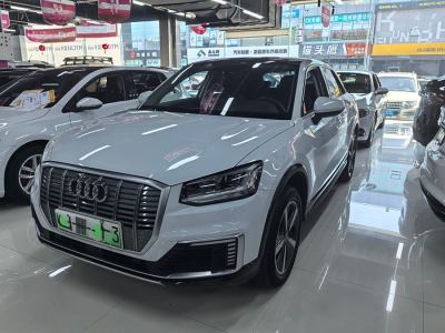 2021年4月 奥迪 Q2L e-tron e-tron 纯电智享型图片