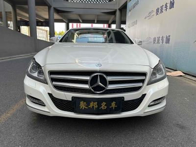 2014年5月 奔馳 奔馳CLS級(進(jìn)口) CLS 300 CGI圖片