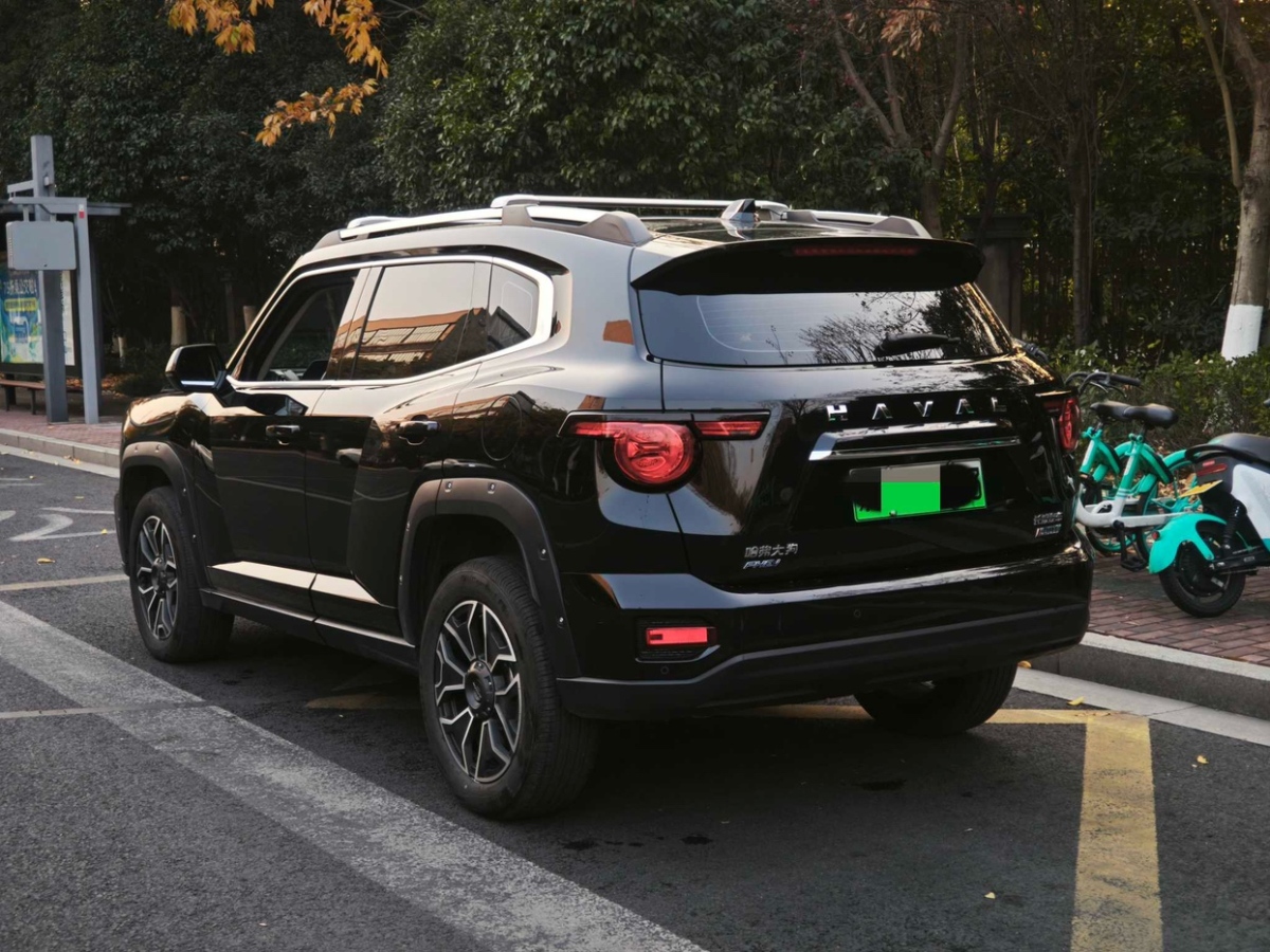 哈弗 哈弗二代大狗新能源  2023款 DHT-PHEV 105km 潮電版圖片