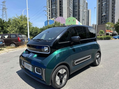 2022年6月 寶駿 寶駿KiWi EV 藝術(shù)家輕享版 三元鋰圖片