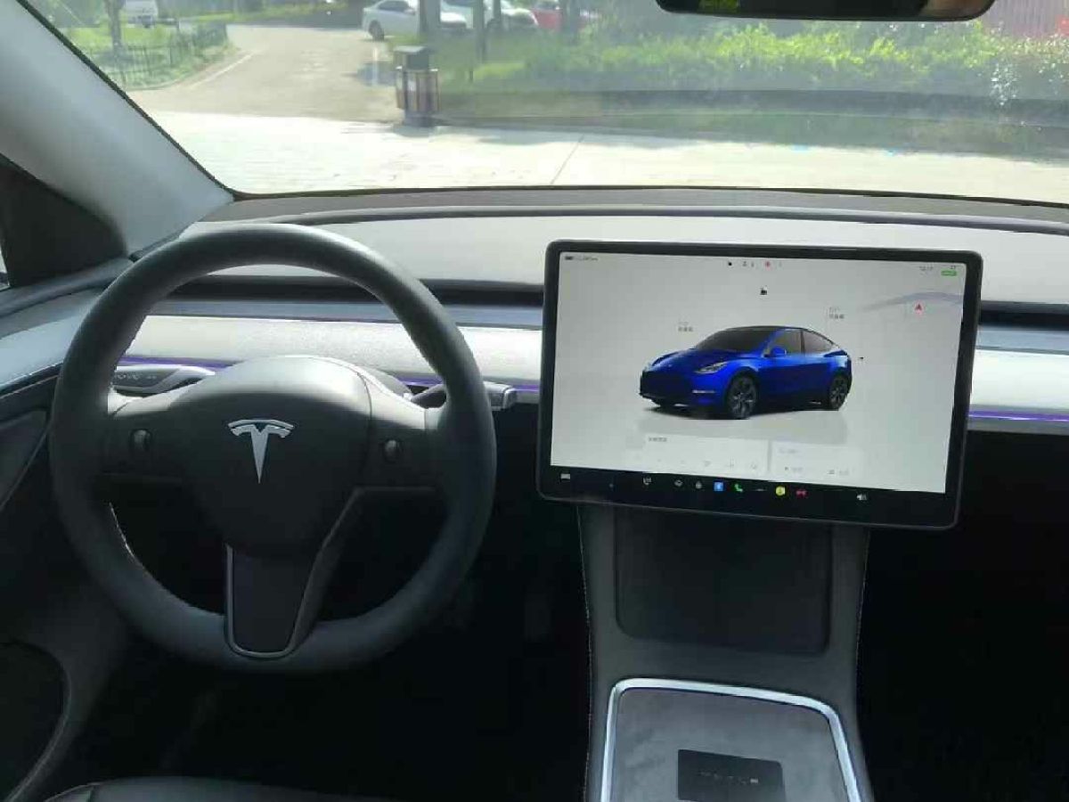 特斯拉 Model Y  2024款 Performance高性能版圖片