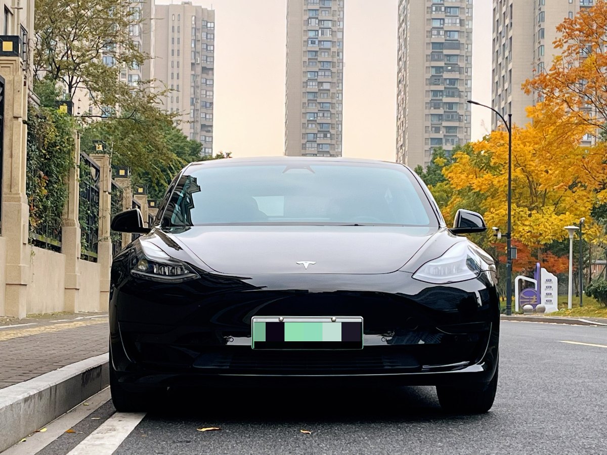 特斯拉 Model 3  2019款 標(biāo)準(zhǔn)續(xù)航后驅(qū)升級版圖片