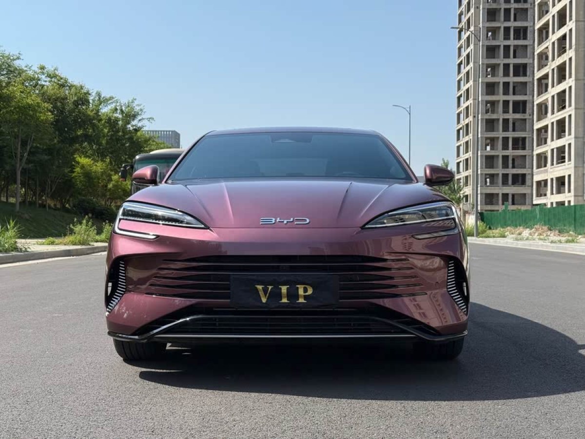 比亞迪 海豹  2023款 DM-i 1.5T 121km 旗艦型圖片