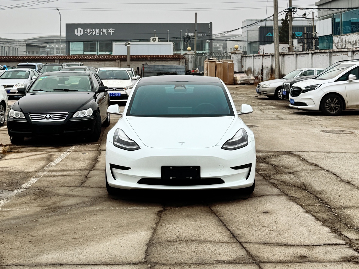 特斯拉 Model 3  2019款 標(biāo)準(zhǔn)續(xù)航后驅(qū)升級版圖片