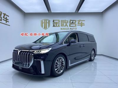 2025年2月 嵐圖 夢想家 PHEV 超長續(xù)航旗艦版圖片