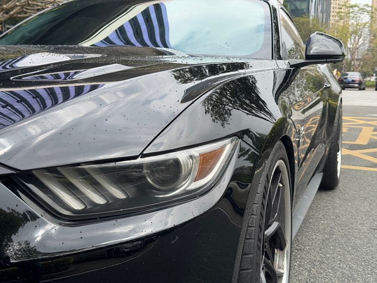 福特 Mustang  2015款 5.0L GT 性能版圖片