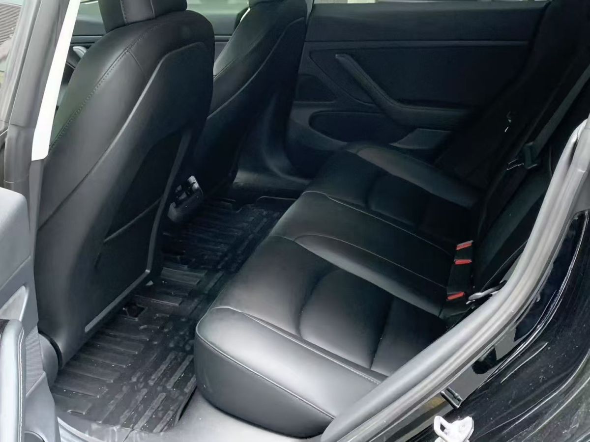 特斯拉 Model 3  2020款 改款 標準續(xù)航后驅(qū)升級版圖片