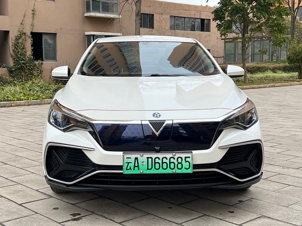 啟辰 D60EV  2020款 標(biāo)準(zhǔn)續(xù)航舒適版圖片