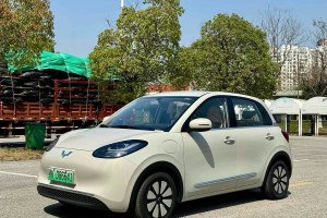 五菱繽果 五菱 333km 悅享款