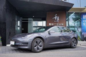 2020年3月 Model Y 特斯拉 改款 标准续航后驱升级版