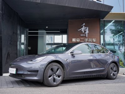 2020年3月 特斯拉 Model Y 改款 標(biāo)準(zhǔn)續(xù)航后驅(qū)升級版圖片