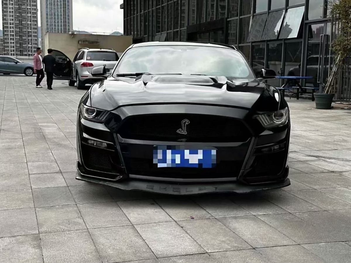 福特 Mustang  2015款 2.3T 性能版圖片