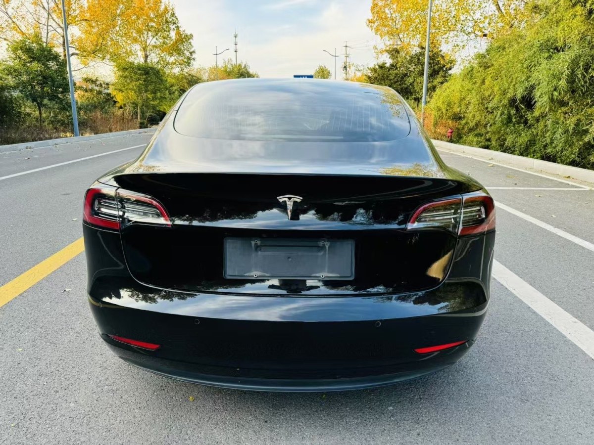 特斯拉 Model 3  2019款 標(biāo)準(zhǔn)續(xù)航后驅(qū)升級(jí)版圖片